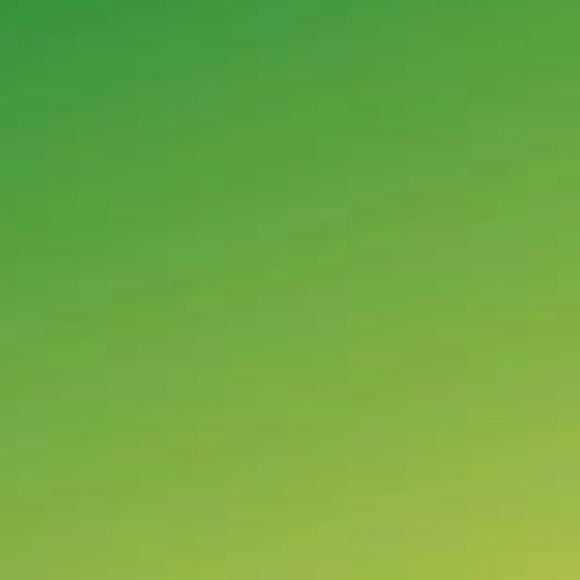 NFS - Picture 1 of 1